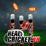 Real Cricket 18 APK + Hack MOD (Money / Unlocked)