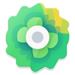 Moxy Icons 1.3 APK Patched