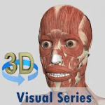 Visual Muscles 3D 3.0.0 APK