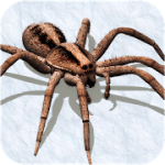 Ultimate Spider Simulator – RPG Game Hack MOD APK (Money)