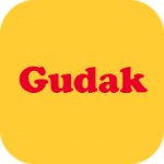 Gudak Cam 1.0.040 APK Paid
