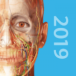 Human Anatomy Atlas 2019 Complete 3D Human Body 2019.1.38 APK