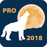 Lunar Calendar PRO 4.0 APK Paid