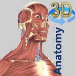 3D Anatomy 3.6.0 APK Paid