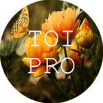 Text Over Image PRO Write Text On Photos, Memes 1.1.8 APK Paid