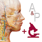 Anatomy & Physiology v 6.2.00 APK