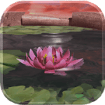 Lotus 3D Live Wallpaper v 1.0.0 APK