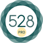 528 Player Music With Love Like a Pro 23.0 APK Paid