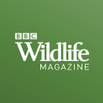 BBC Wildlife Magazine  Animal News, Facts & Photo 6.2.9 APK Subscribed SAP
