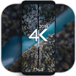4K Wallpapers  Auto Wallpaper Changer 1.7.3.1 Pro APK Modded