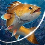 Fishing Hook v 2.4.2 Hack mod apk (Unlimited Money)