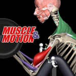 Strength Training by Muscle and Motion 2.2.14 Premiuim Proper APK