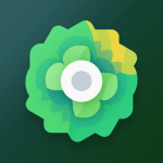 Moxy Icons 11.2 APK Patched