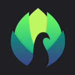Peafowl Theme Maker for EMUI GPS_17.0.1 Pro APK